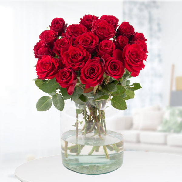 20 Rote Rosen (40cm)