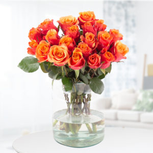 20 Orange Rosen (40cm)