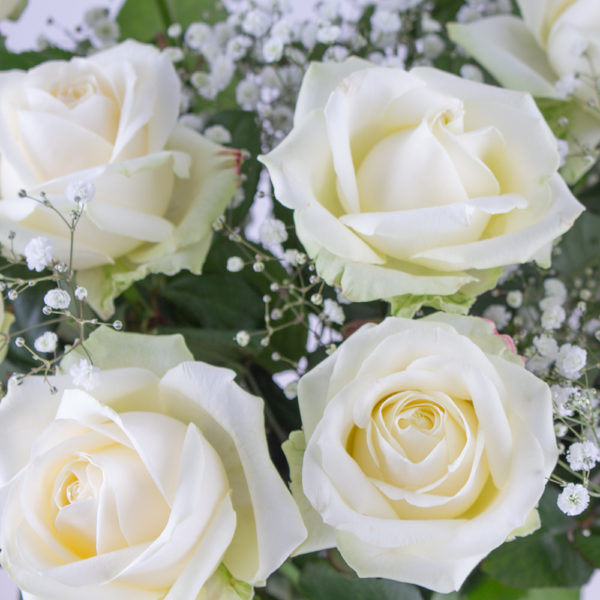 Weiße Rosen mit Schleierkraut - Premium-Rosen (60cm) – Bild 2