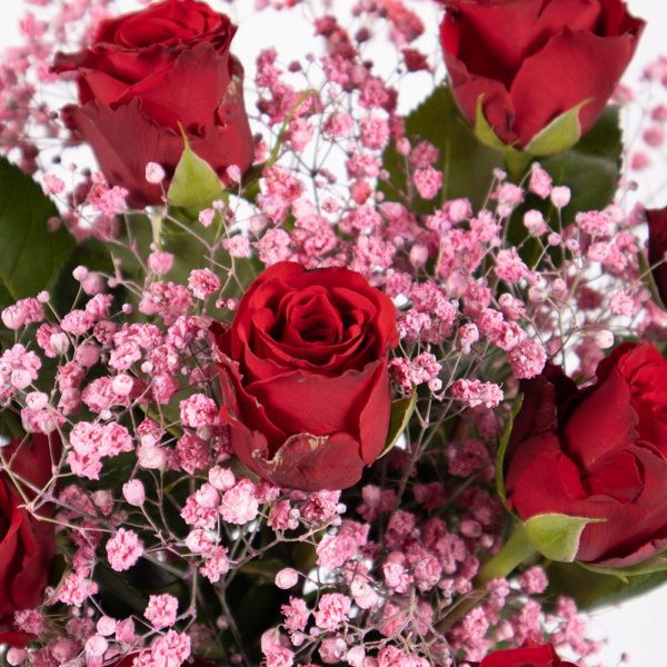 10 rote Rosen (40cm) mit Schleierkraut – Bild 2