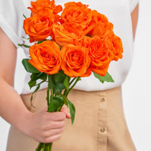 Miss Apricot