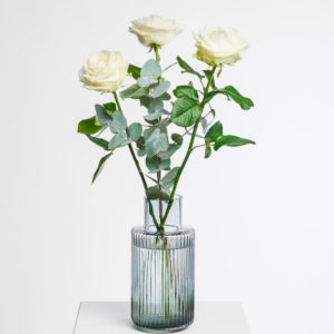 White Roses