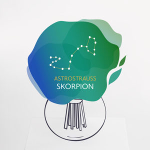 Astrostrauß Skorpion