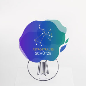 Astrostrauß Schütze