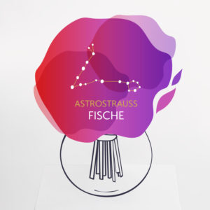 Astrostrauß Fische