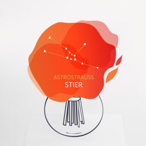 Astrostrauß Stier