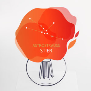 Astrostrauß Stier