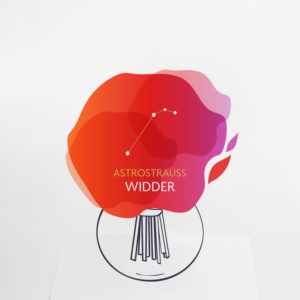 Astrostrauß Widder