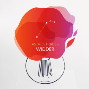 Astrostrauß Widder