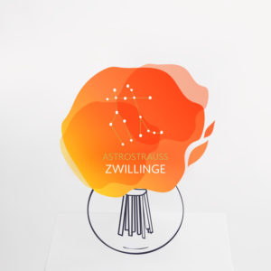 Astrostrauß Zwillinge