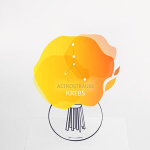 Astrostrauß Krebs