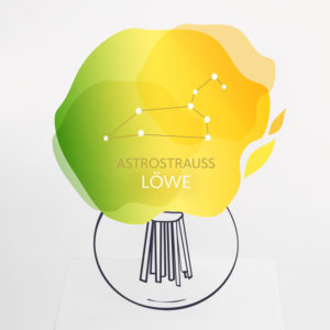 Astrostrauß Löwe