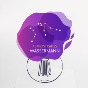 Astrostrauß Wassermann