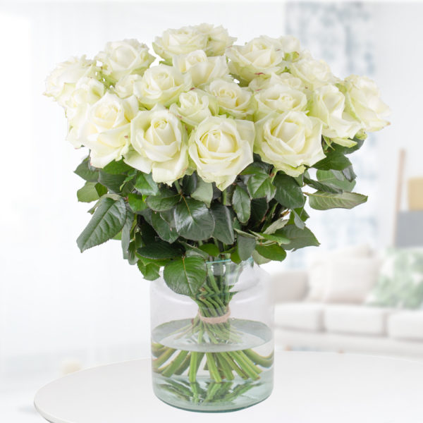 Weiße Rosen - Anzahl ab 10 wählbar (Premium, 60cm) – Bild 2