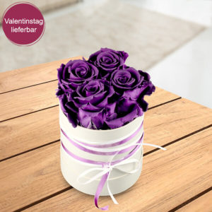 4 lila haltbare Rosen in Hutschachtel