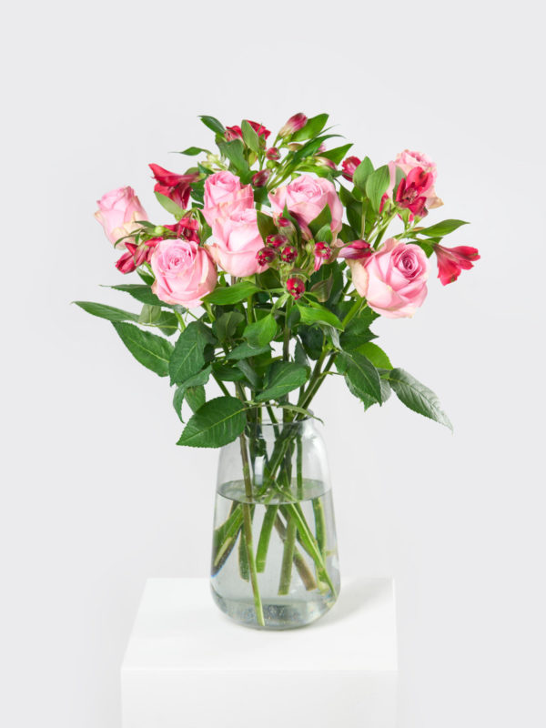 Delight – Bild 3