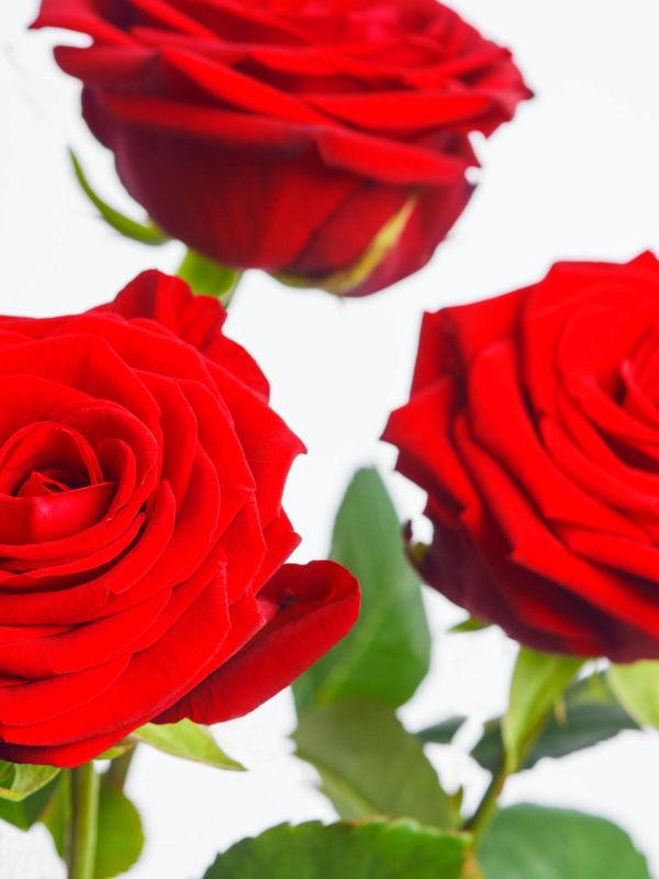 I love You, Baby! – Bild 2