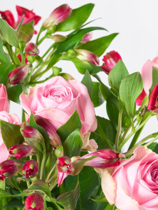 Delight – Bild 2