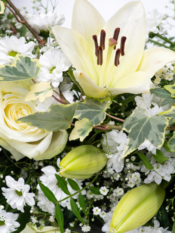 Ewiges Leben – Bild 2