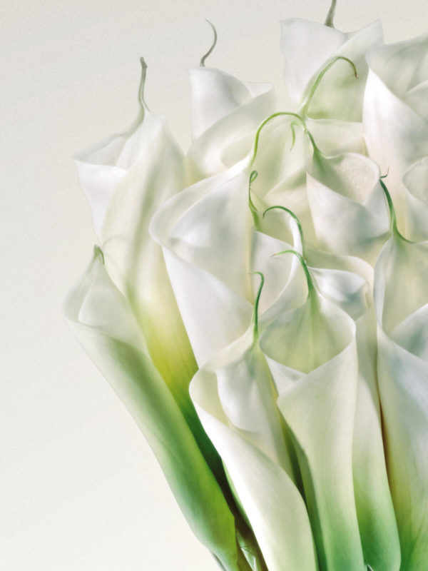 Fleurop Deluxe: Raving Beauty – Bild 2