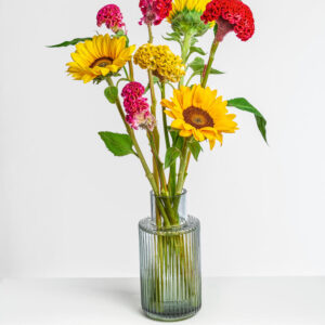 Sunflower & Celosia