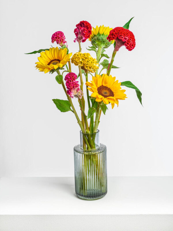 Sunflower & Celosia