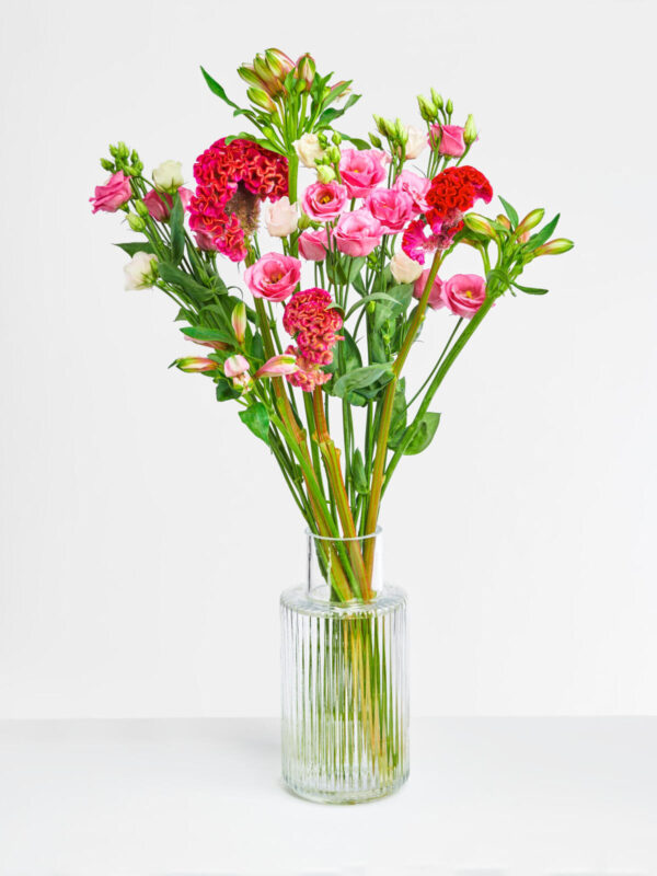 Summer Romance – Bild 2