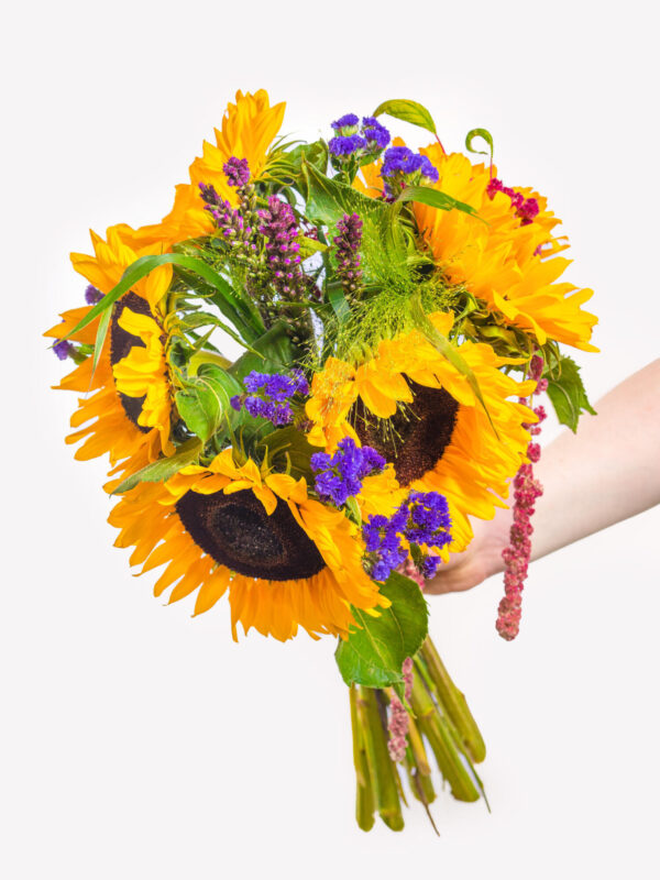 Ein perfekter Sommertag – Bild 4