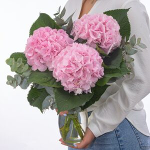 Rosa Hortensien mit Eukalyptus