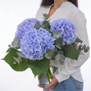 Blaue Hortensien mit Eukalyptus