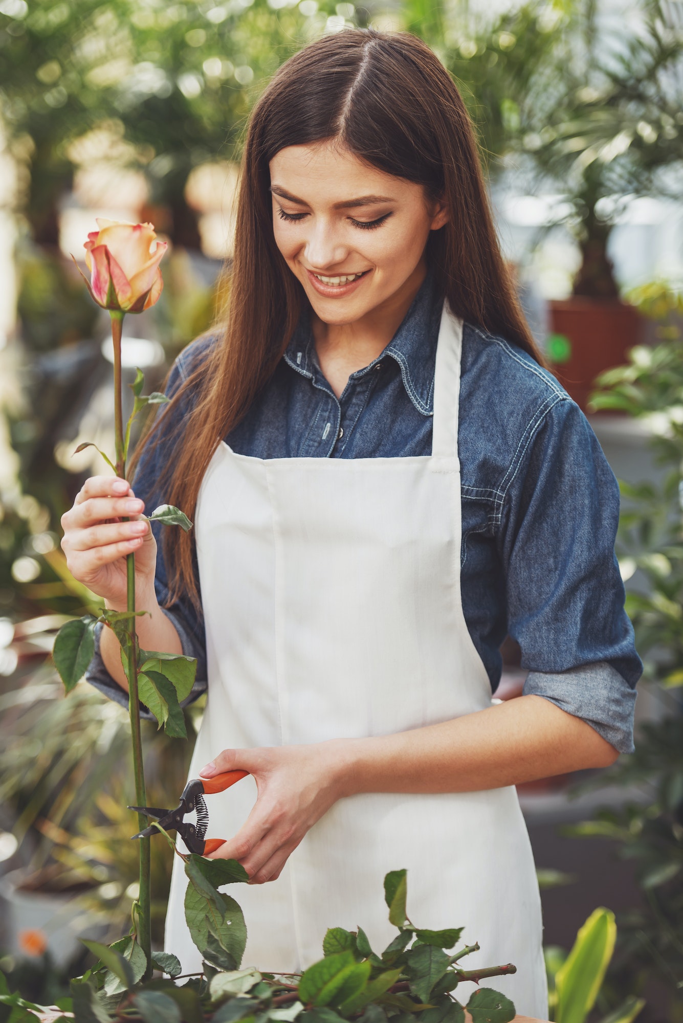 Florist