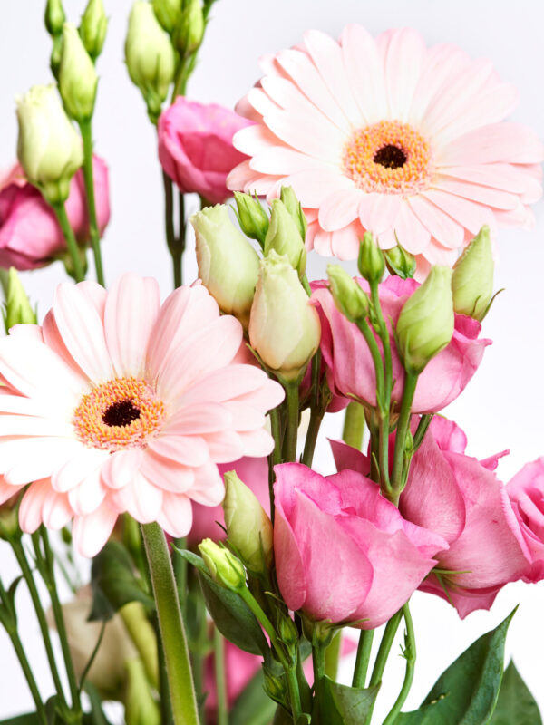 Delightful – Bild 2