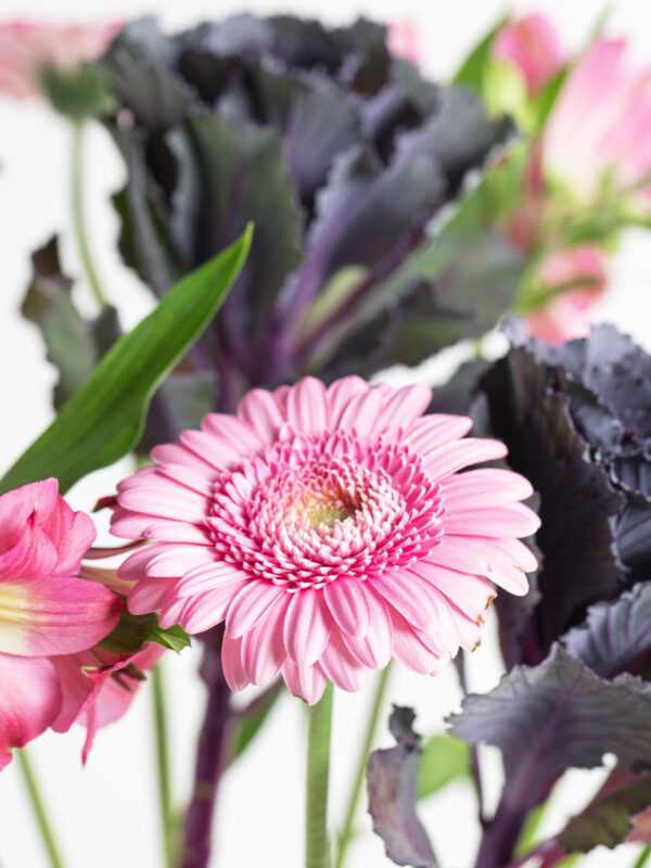 Wilde Romantik – Bild 3