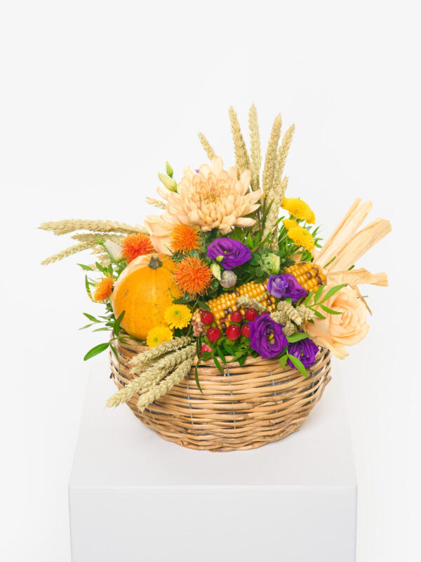 Herbstleuchten – Bild 2