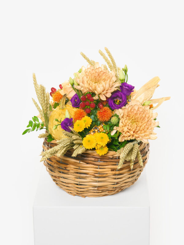 Herbstleuchten