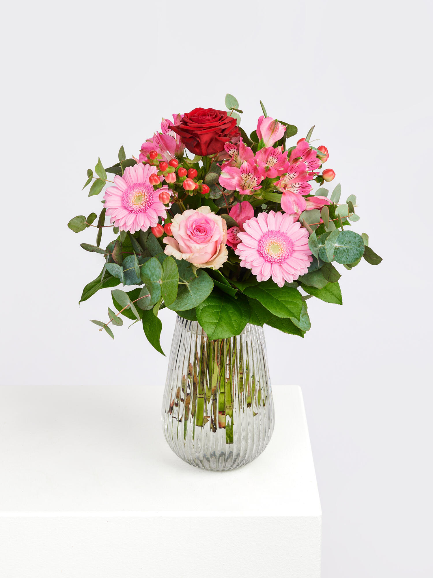 Herzliches Kompliment