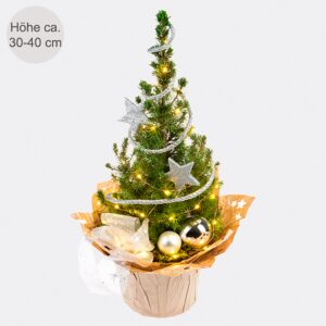 Weihnachtsbaum Sternenglanz mit Lichterkette &