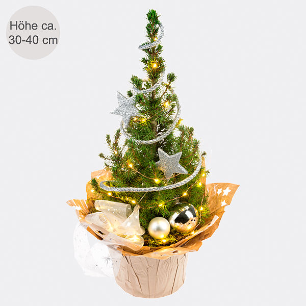 Weihnachtsbaum Sternenglanz mit Lichterkette &