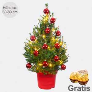 Weihnachtsbaum Little Santa mit Lichterkette &