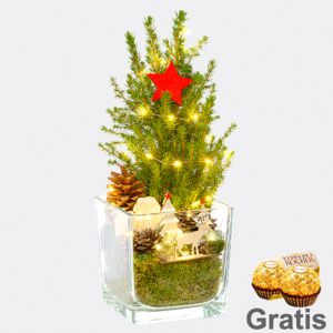 Weihnachtsbaum Weihnachtsstimmung mit Lichterkette &