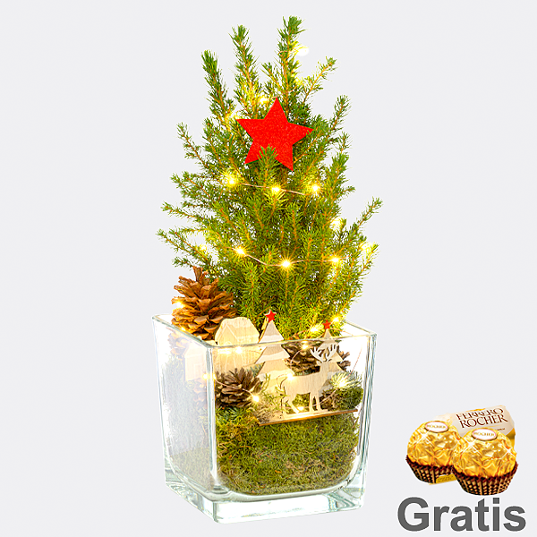 Weihnachtsbaum Weihnachtsstimmung mit Lichterkette &