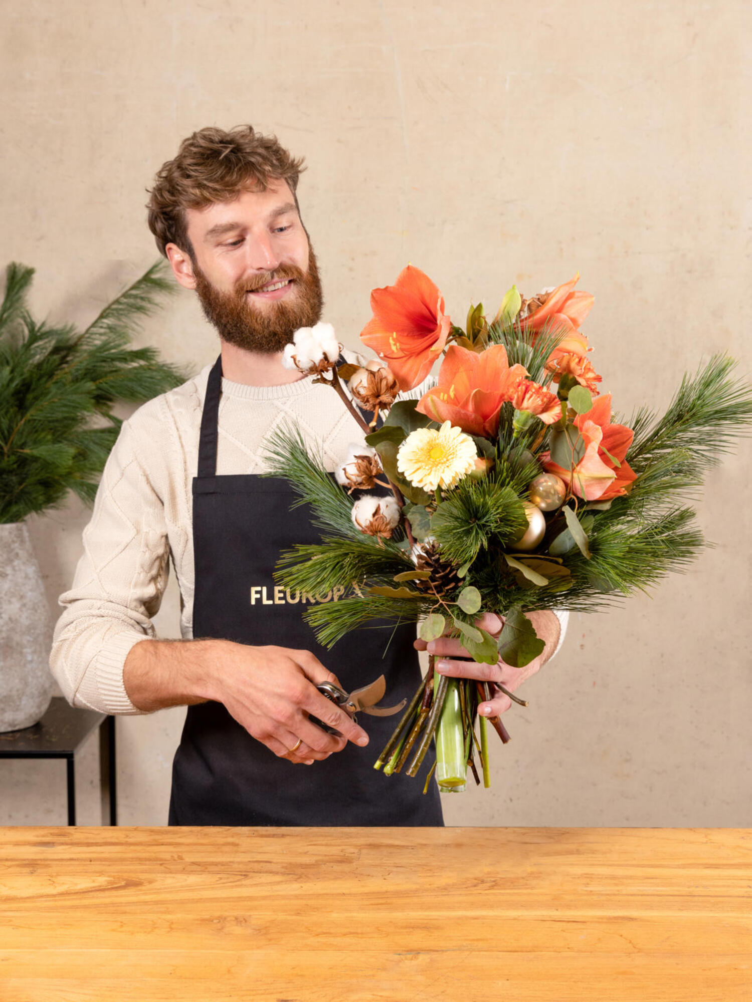 Apricot Dream – Bild 5