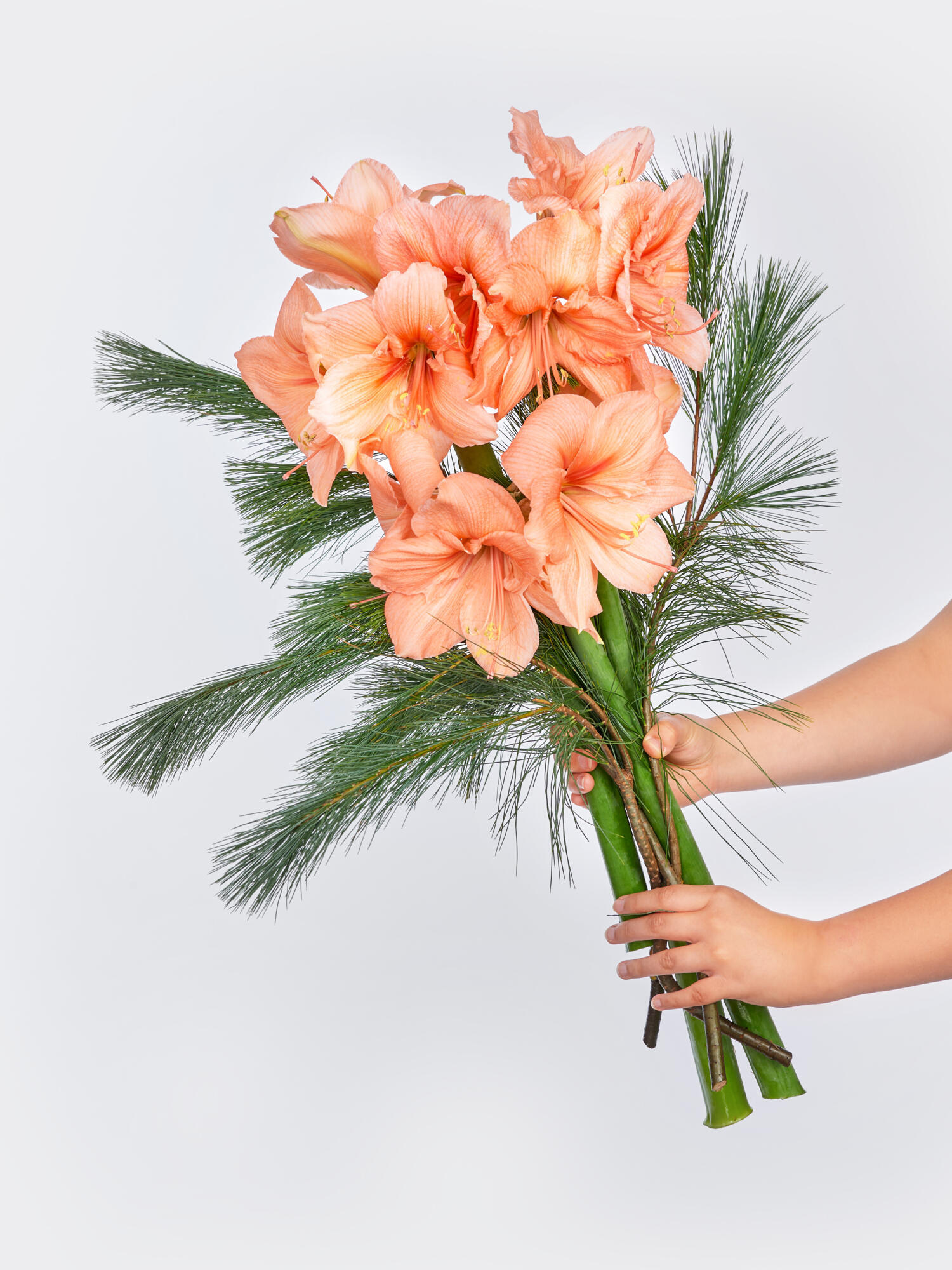 Festive Season – Bild 2