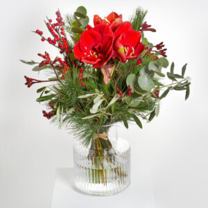 Feierliche Vorfreude