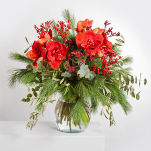 Feierliche Vorfreude