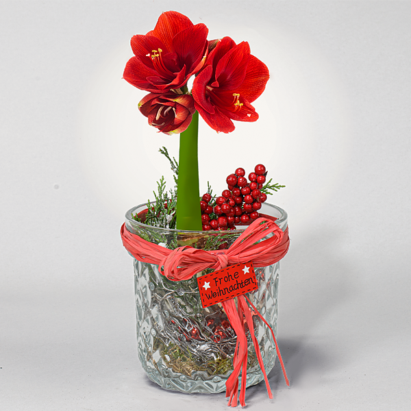 Wintermärchen im Glas