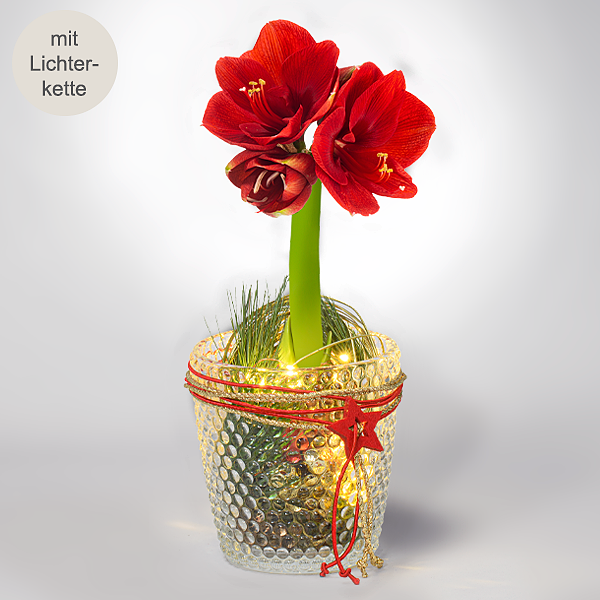 Weihnachtszauber im Glas