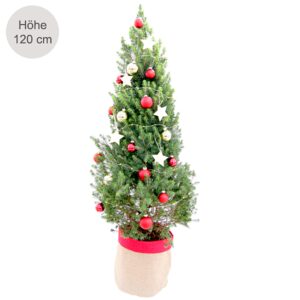 Weihnachtsbaum Weihnachtstraum mit Lichterkette