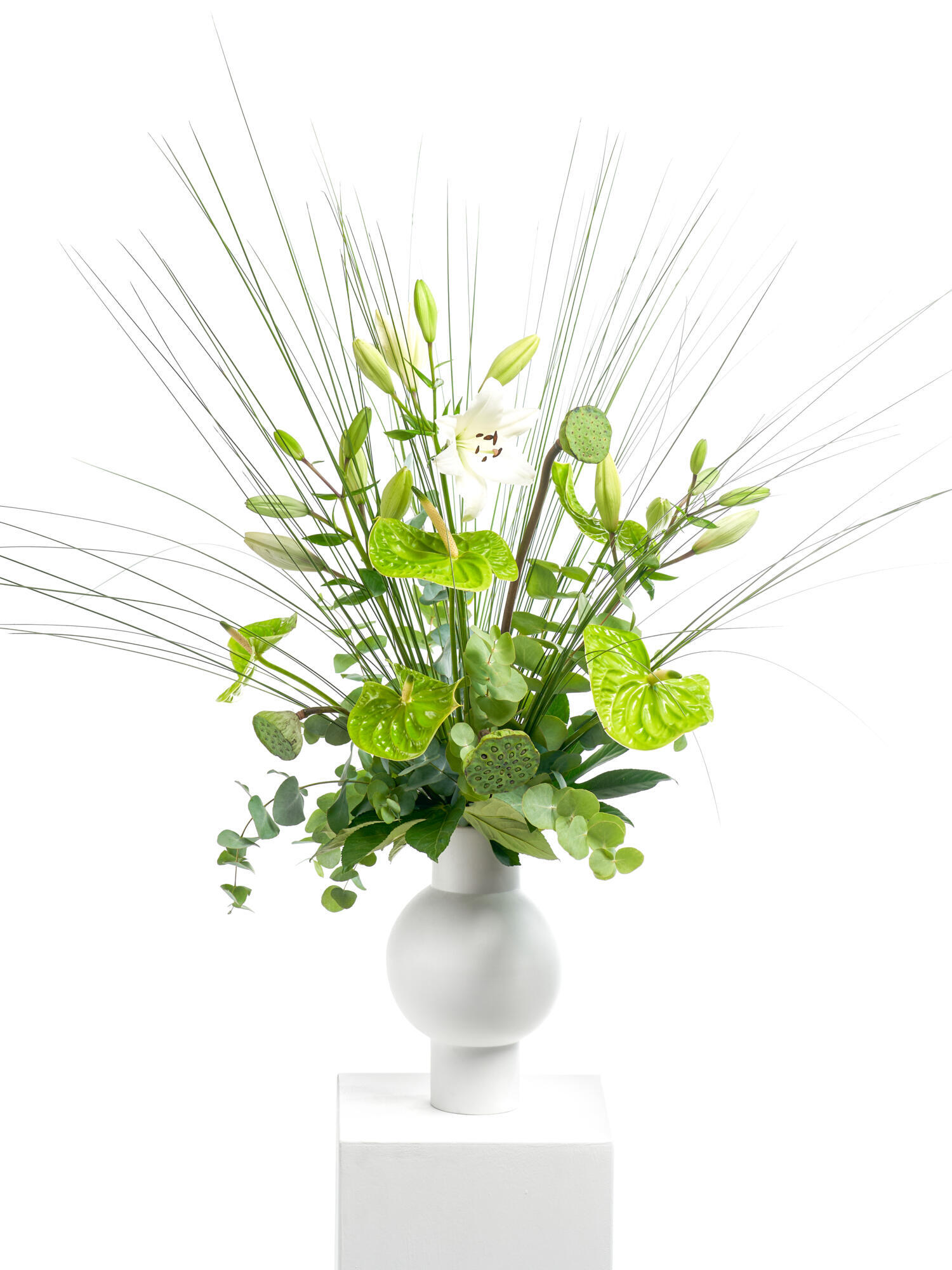 Funkelnde Sternschnuppe