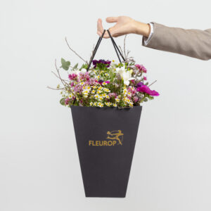 Erster Frühlingsmorgen